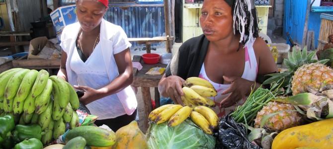 Reisebericht Südafrika Mozambique 2011