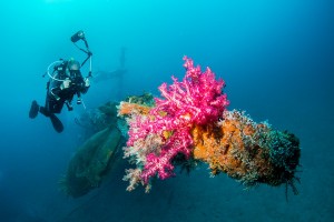 Indonesien - Liburan Paradise 2016